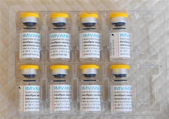 EU đặt mua 2 triệu liều vaccine phòng bệnh đậu mùa khỉ - Ảnh 2.
