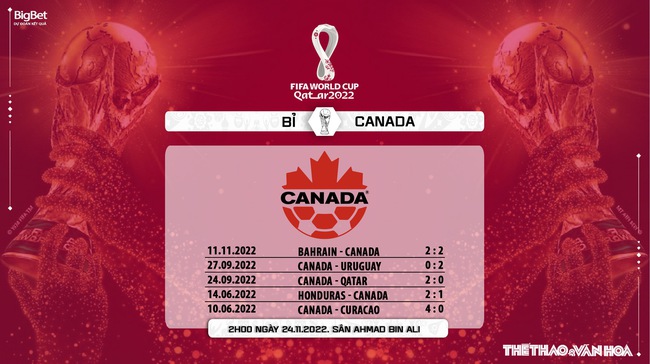 Nhận định bóng đá, nhận định Bỉ vs Canada, World Cup 2022 (2h00, 24/11) - Ảnh 5.
