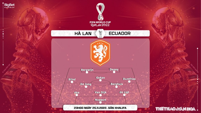 Nhận định bóng đá, nhận định Hà Lan vs Ecuador (23h00 ngày 25/11), Bảng A World Cup - Ảnh 4.