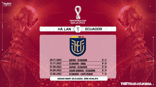 Link trực tiếp bóng đá Hà Lan vs Ecuador, World Cup 2022 (23h00, 25/11) - Ảnh 4.