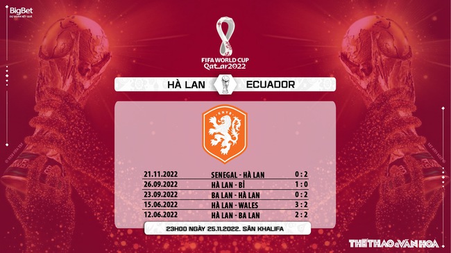 Link trực tiếp bóng đá Hà Lan vs Ecuador, World Cup 2022 (23h00, 25/11) - Ảnh 3.