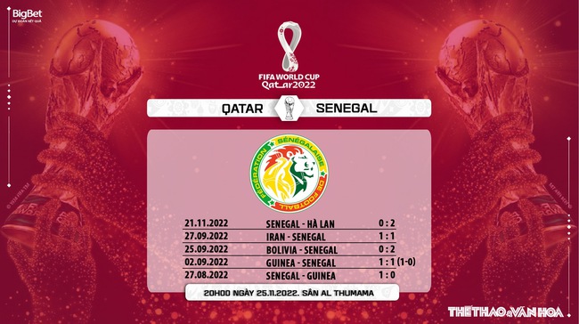 Nhận định bóng đá, nhận định Qatar vs Senegal, World Cup 2022 (20h00, 25/11) - Ảnh 10.