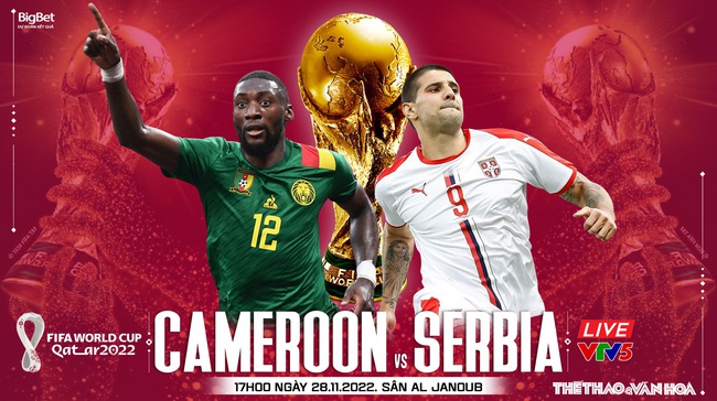 Nhận định bóng đá Cameroon vs Serbia, World Cup 2022 (17h00, 28/11) - Ảnh 3.