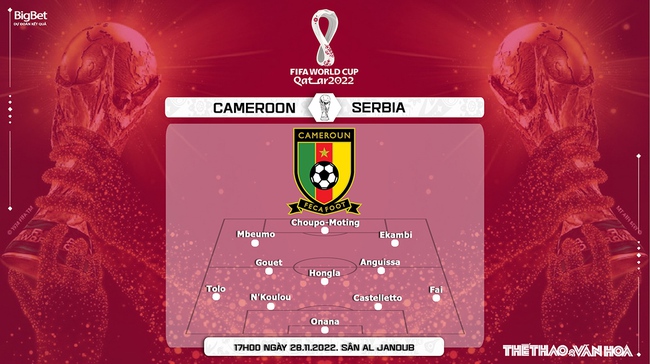 Nhận định bóng đá Cameroon vs Serbia, World Cup 2022 (17h00, 28/11) - Ảnh 4.