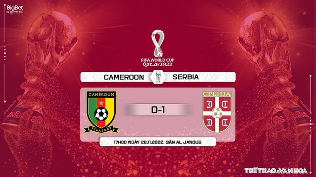 Nhận định bóng đá Cameroon vs Serbia, World Cup 2022 (17h00, 28/11) - Ảnh 10.