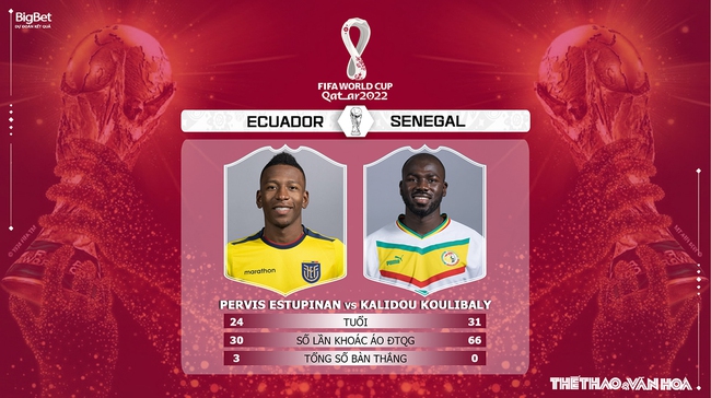 Nhận định kèo Ecuador vs Senegal (22h00, 29/11), World Cup 2022  - Ảnh 6.
