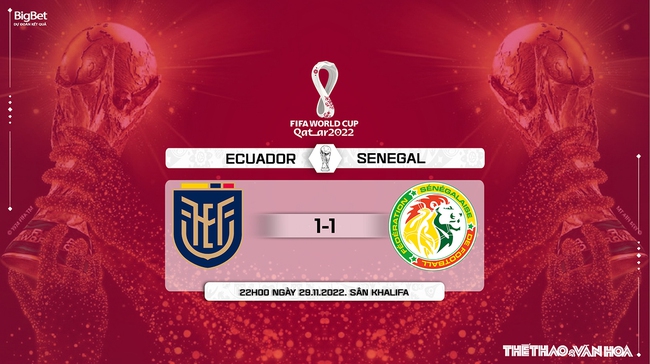 Nhận định kèo Ecuador vs Senegal (22h00, 29/11), World Cup 2022  - Ảnh 12.