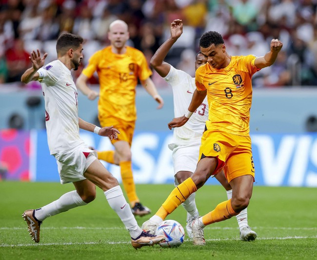 Kết quả bóng đá Hà Lan 2-0 Qatar: Gakpo tiếp tục lên tiếng - Ảnh 1.