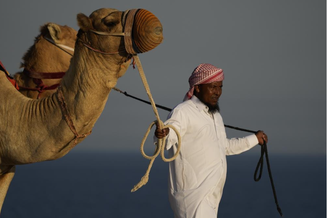 Du lịch Qatar bội thu mùa World Cup: Đến lạc đà cũng &quot;còng lưng&quot; làm thêm giờ vì khách quá đông  - Ảnh 3.
