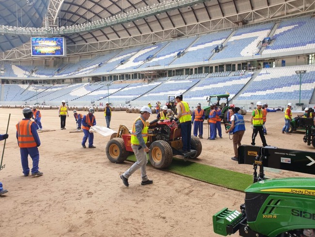 Cách một công ty ở Mỹ trồng cỏ rồi mang tới Qatar cho kỳ World Cup 2022 - Ảnh 3.