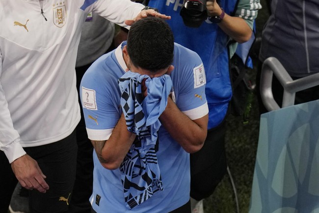 Luis Suarez ôm mặt khóc nức nở