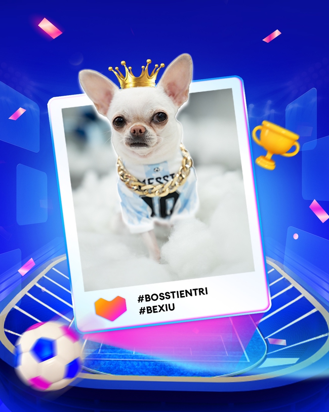 Tỉ lệ đoán trúng cực cao, chú chó Bé Xíu được cộng đồng mạng công nhận “nhà tiên tri World Cup 2022” - Ảnh 8.