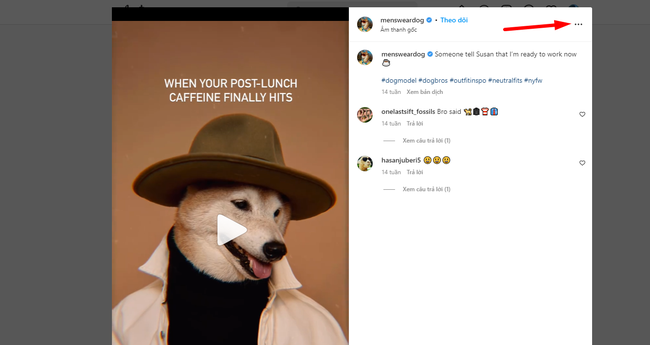 Hướng dẫn tải video trên Instagram về máy với Vidinsta - Ảnh 2.
