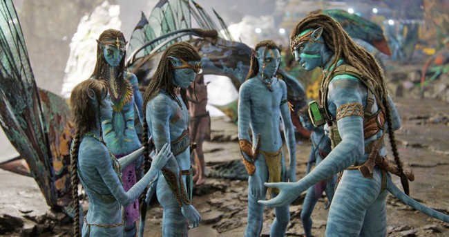 'Avatar 2' hô hào bảo vệ hệ sinh thái biển nhưng lại lạm dụng cá heo để quảng bá? - Ảnh 2.