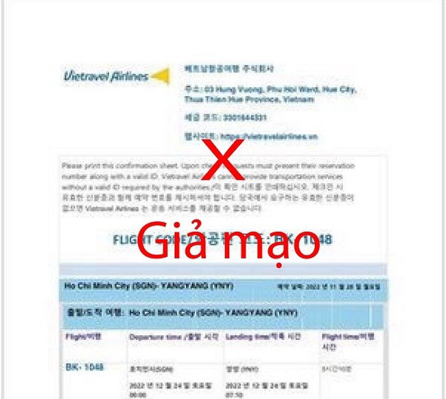 Cảnh báo mất tiền mua vé máy bay Tết trên website giả - Ảnh 1.