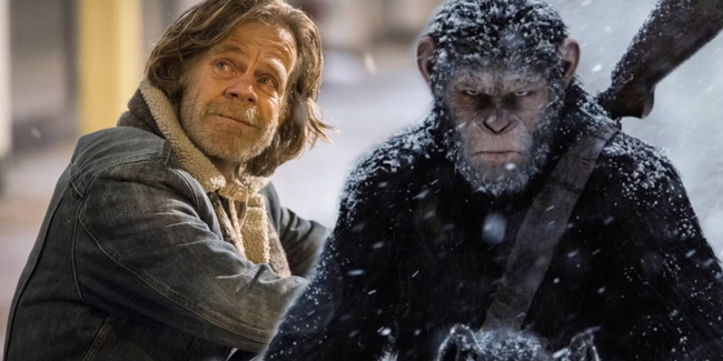 Phần mới 'Hành tinh khỉ' tuyển diễn viên được đề cử Oscar - Ảnh 1.