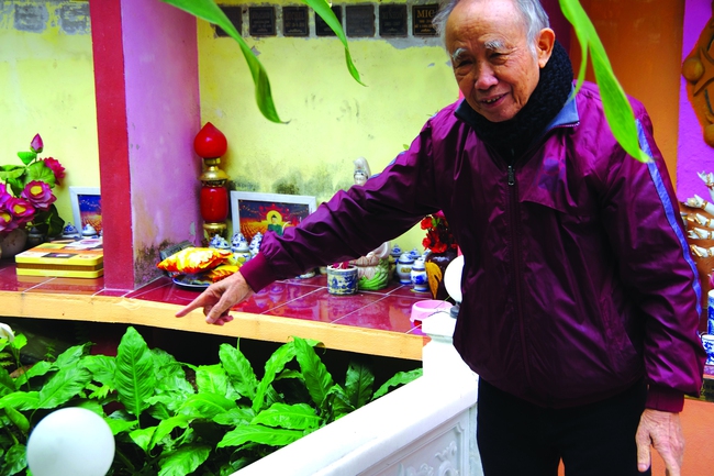 Thăm 'vương quốc chó mèo' của Nguyễn Bảo Sinh - Ảnh 5.