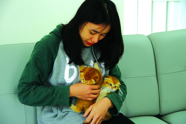 Thăm 'vương quốc chó mèo' của Nguyễn Bảo Sinh - Ảnh 2.
