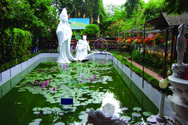 Thăm 'vương quốc chó mèo' của Nguyễn Bảo Sinh - Ảnh 1.