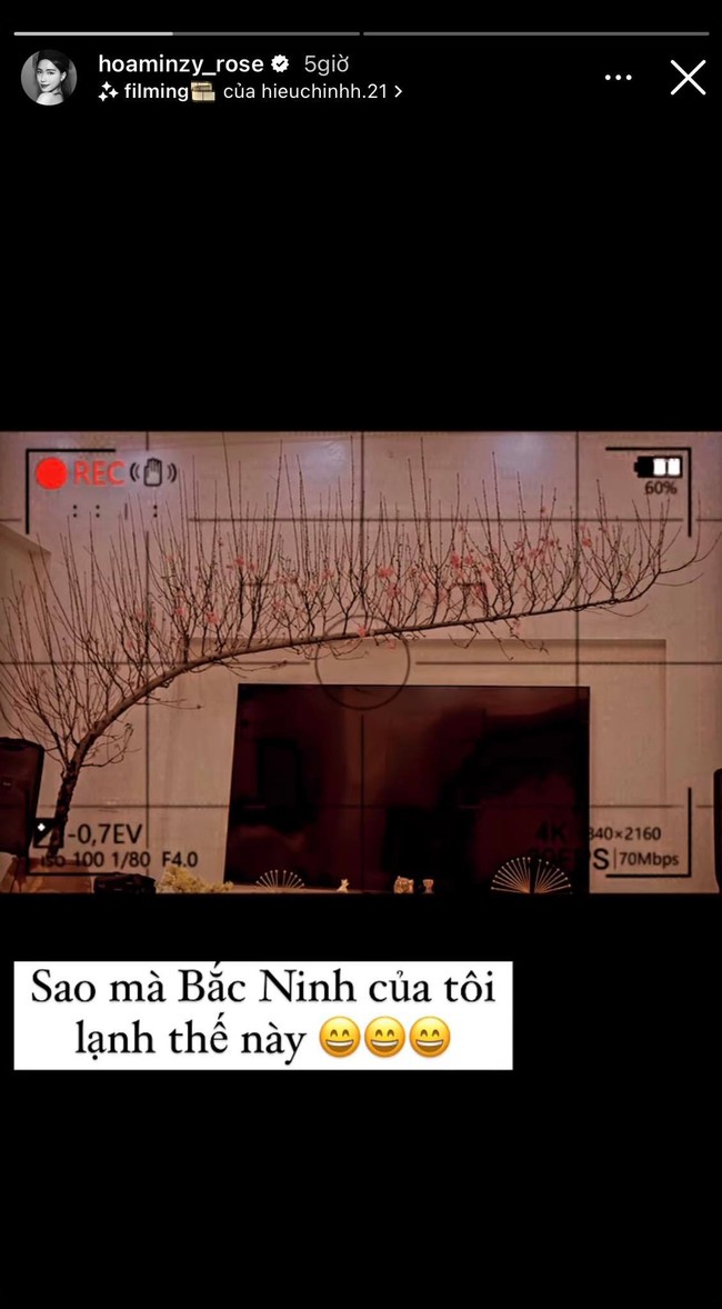 Cây cảnh chơi Tết của sao Việt: H'Hen Niê mang cả vườn hoa lên bản, Cường Đô La - Đàm Thu Trang tậu một lúc 5 loại chưng quanh nhà - Ảnh 10.