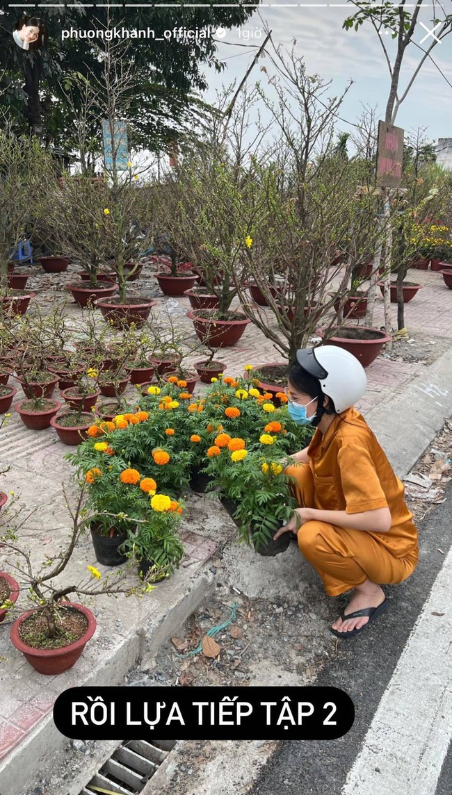 Cây cảnh chơi Tết của sao Việt: H'Hen Niê mang cả vườn hoa lên bản, Cường Đô La - Đàm Thu Trang tậu một lúc 5 loại chưng quanh nhà - Ảnh 14.
