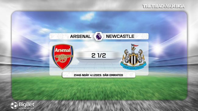 Nhận định bóng đá Arsenal vs Newcastle, vòng 19 Giải Ngoại hạng Anh (2h45, 4/1) - Ảnh 9.