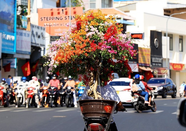 Thành phố Hồ Chí Minh ngày 30 Tết Quý Mão 2023 - Ảnh 1.