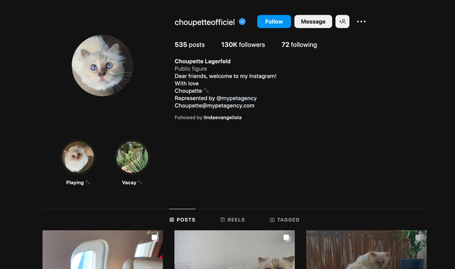 'Nàng thơ mèo' của Chanel: Được cố NTK Karl Lagerfeld 'nâng như nâng trứng', có Instagram hơn 130k followers, thậm chí sở hữu gia tài 13 triệu đô - Ảnh 14.
