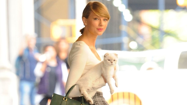 Mèo của Taylor Swift là thú cưng giàu thứ 3 toàn cầu với khối tài sản siêu khủng - Ảnh 4.