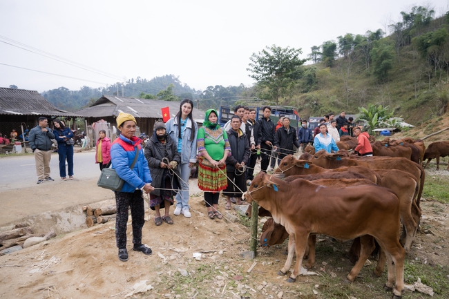Á hậu Phương Nhi trao tặng 20 con bò cho nông dân nghèo - Ảnh 9.