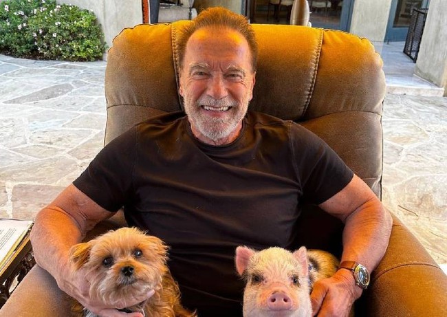 'Kẻ hủy diệt' Arnold Schwarzenegger cảm thấy tổn thương với cơ thể già nua ở tuổi 76 - Ảnh 7.