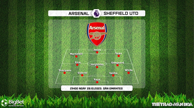 Nhận định bóng đá Arsenal vs Sheffield United (21h00, 28/10), Ngoại hạng Anh vòng 10 - Ảnh 3.
