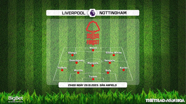 Nhận định bóng đá Liverpool vs Nottingham (21h00, 29/10), vòng 10 Ngoại hạng Anh - Ảnh 4.