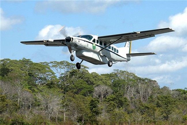 Rơi máy bay tại rừng Amazon của Brazil, ít nhất 12 người thiệt mạng - Ảnh 1.