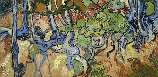Van Gogh - Những tháng cuối đời bi thảm rực rỡ - Ảnh 5.