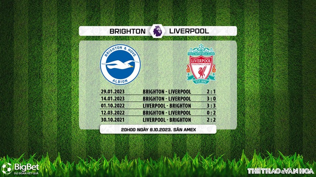 Nhận định bóng đá Brighton vs Liverpool (20h00, 8/10), vòng 8 Ngoại hạng Anh - Ảnh 7.