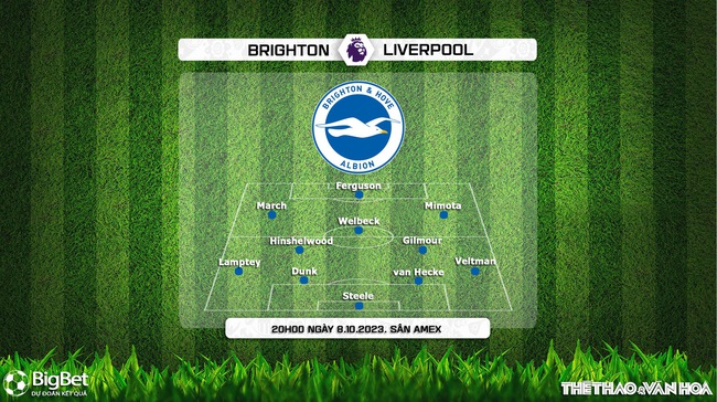 Nhận định bóng đá Brighton vs Liverpool (20h00, 8/10), vòng 8 Ngoại hạng Anh - Ảnh 3.