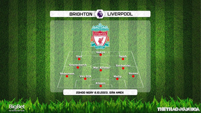 Nhận định bóng đá Brighton vs Liverpool (20h00, 8/10), vòng 8 Ngoại hạng Anh - Ảnh 4.
