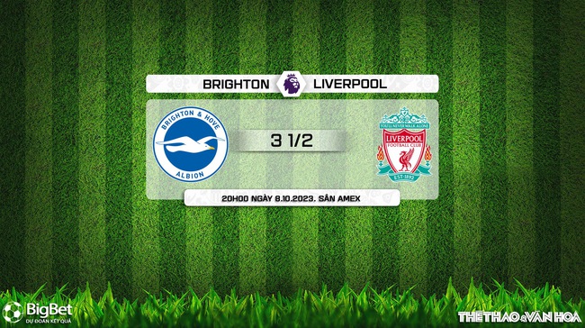 Nhận định bóng đá Brighton vs Liverpool (20h00, 8/10), vòng 8 Ngoại hạng Anh - Ảnh 9.