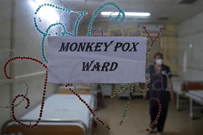 WHO: Gần 92.000 ca nhiễm và 167 ca tử vong do bệnh đậu mùa khỉ trong 2 năm qua - Ảnh 1.