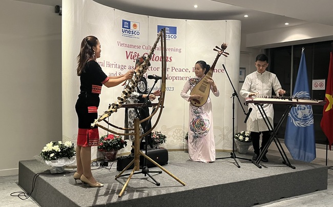 Võ thuật và âm nhạc Việt Nam chinh phục UNESCO - Ảnh 5.