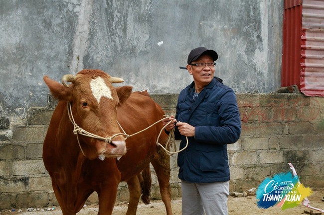 'Có hẹn với thanh xuân': MC Lại Văn Sâm nhận thử thách đi bán bò ở Mèo Vạc - Ảnh 1.