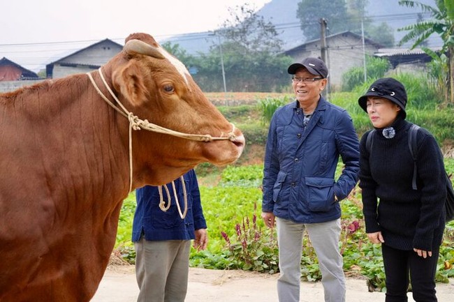 'Có hẹn với thanh xuân': MC Lại Văn Sâm nhận thử thách đi bán bò ở Mèo Vạc - Ảnh 2.