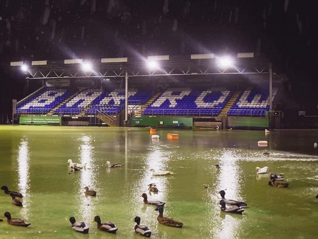 Sân bóng CLB Anh bị ngập úng, vịt bơi như chỗ không người khiến cộng đồng mạng kinh ngạc - Ảnh 2.