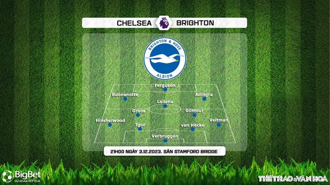 Nhận định bóng đá Chelsea vs Brighton (21h00, 3/12), vòng 14 Ngoại hạng Anh - Ảnh 4.