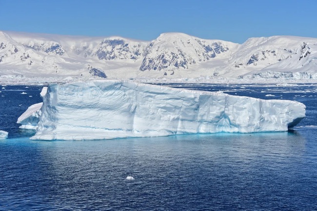 Thế giới đó đây: Nghiên cứu gene bạch tuộc giúp cảnh báo nguy cơ tan băng ở Nam cực - Ảnh 1.