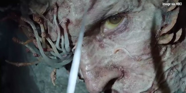 Zombie của The Last Of Us có gì khác biệt so với The Walking Dead? - Ảnh 4.