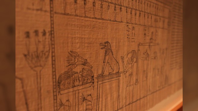 Ai Cập công bố cuốn sách còn nguyên vẹn từ 2.000 năm trước: Nhìn chữ “đọc vị” người viết - Ảnh 11.