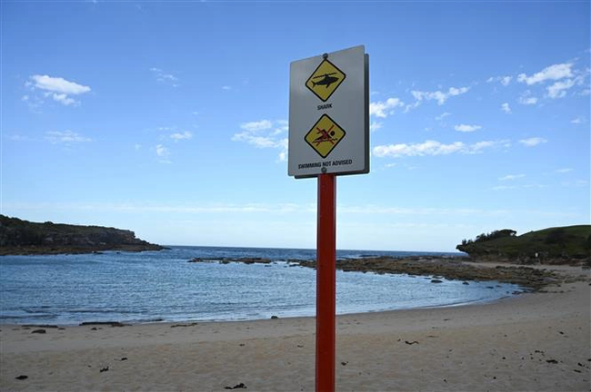 Thiếu nữ 16 tuổi thiệt mạng do bị cá mập tấn công ở Tây Australia - Ảnh 1.