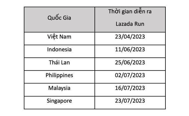 Việt Nam tổ chức giải chạy trên 6 nước Đông Nam Á - Ảnh 3.